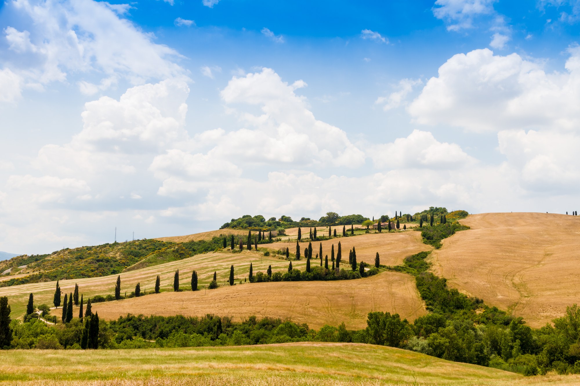 Strada tra le colline toscane e filari di cipressi